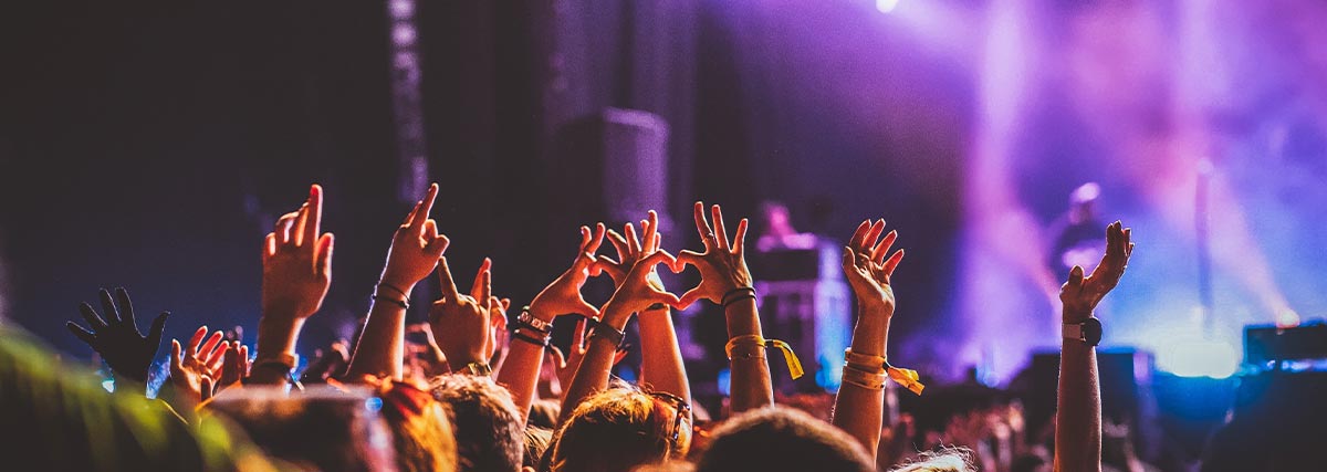 Hands raised on the crowd of music festival